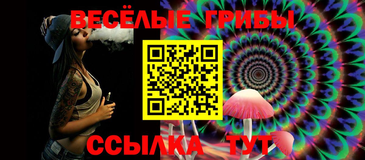 Псилоцибиновые грибы мицелий Самара